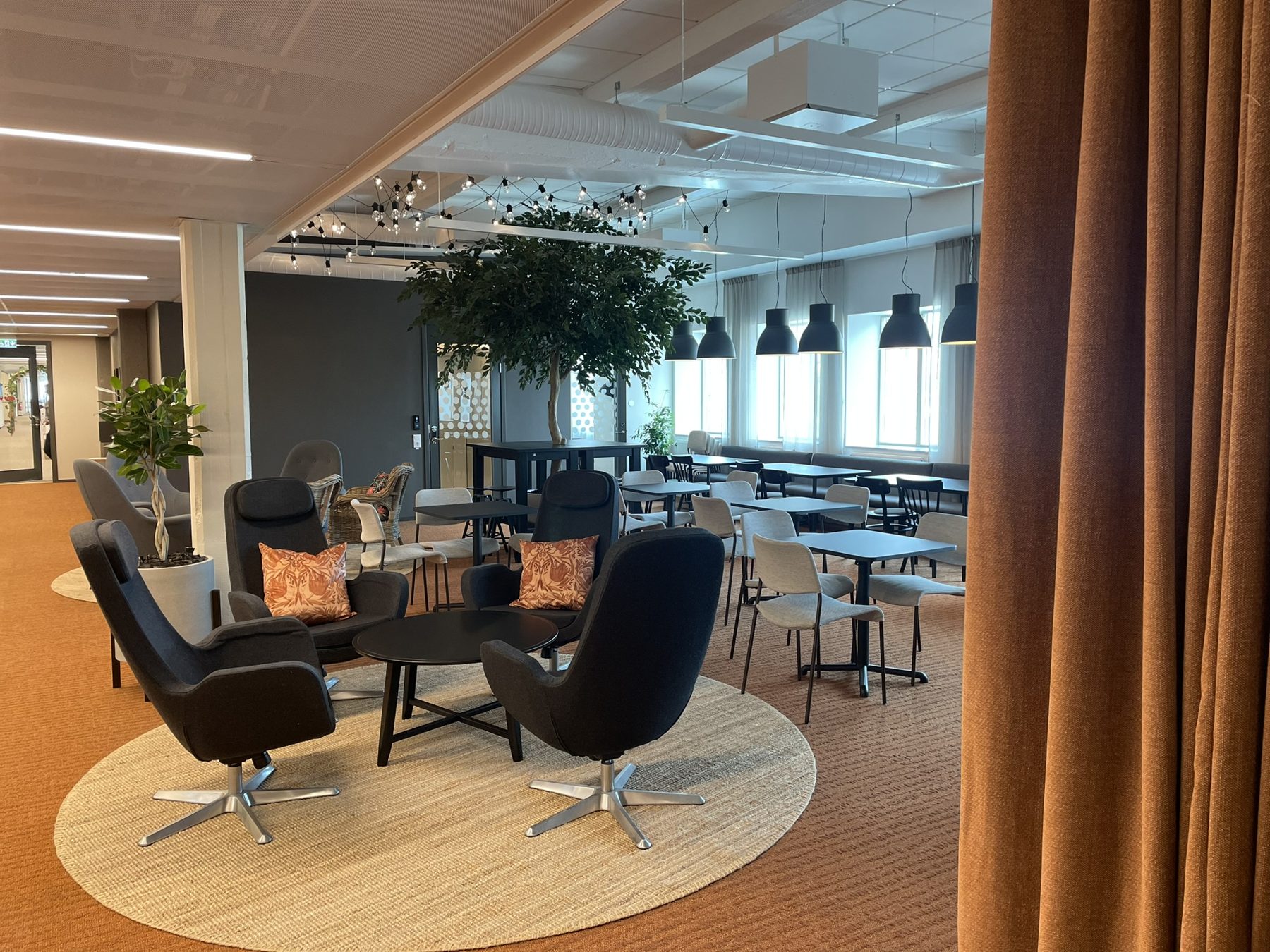 Ett torg med olivträd och ljusslingor — bild 3