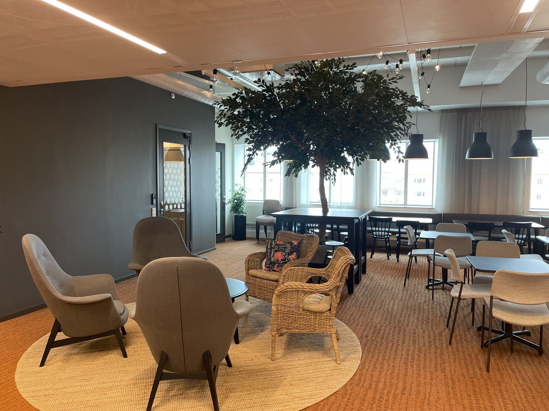Ett torg med olivträd och ljusslingor — bild 1