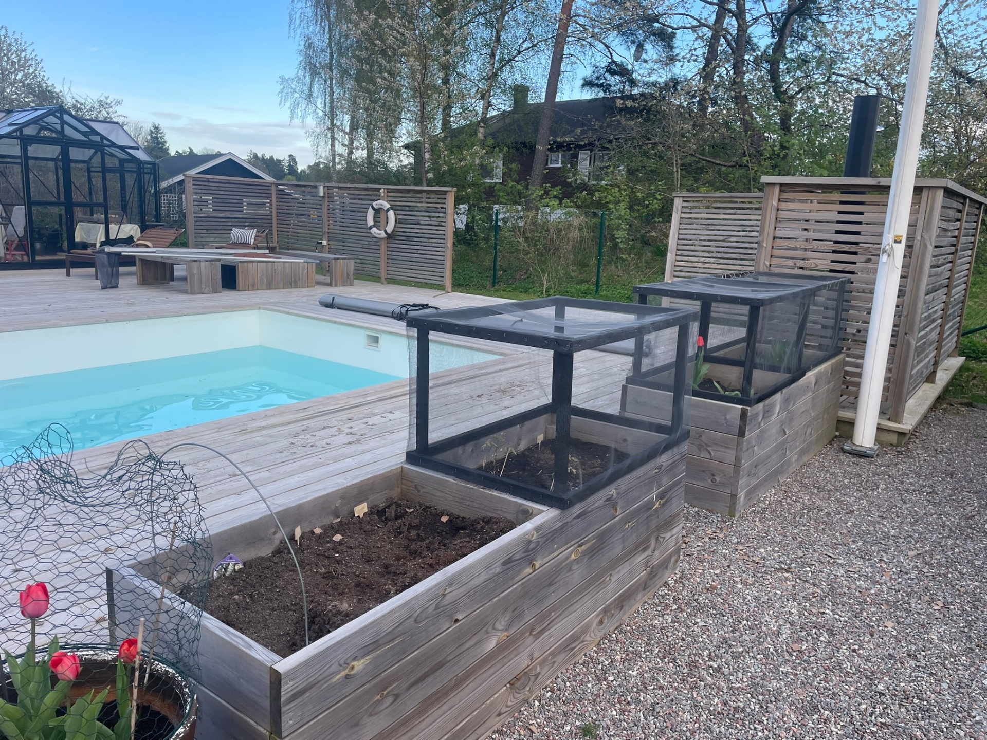 Poolens kortsida med pallkragar, odlingslådor med insektsnät och grusgång